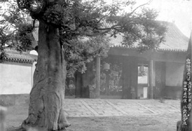 ɽ��Ѳ�����Ŵ��ţ�������ɴ˹���ɽ��Ѳ�����Ŵ�Ժ