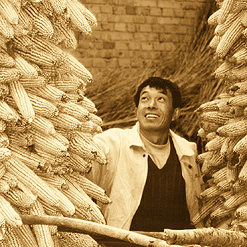 ldmsapp.jpg (104366 �ֽ�)