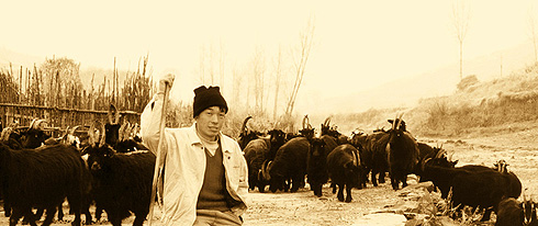 ldmsapp2.jpg (65940 �ֽ�)