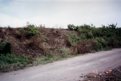 qiang3.jpg (72518 �ֽ�)