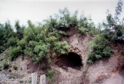 qiang4.jpg (91739 �ֽ�)