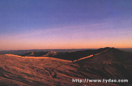 ɽ����������