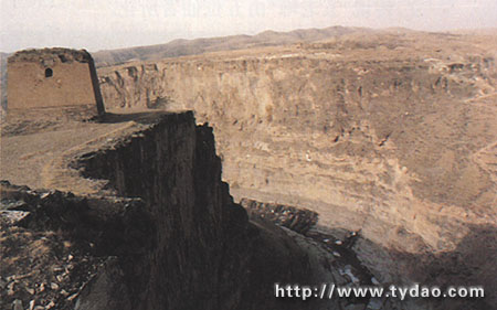 ƫ����ţ�峤��