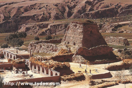 ɽ����������