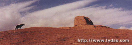 ɽ����������