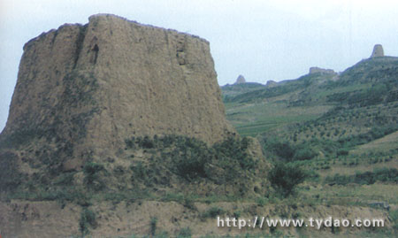 ɽ����������