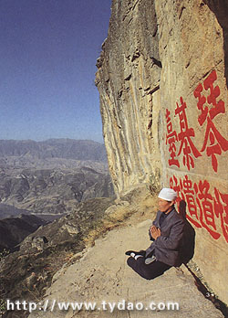 ��ɽ�ڽ���ͽ