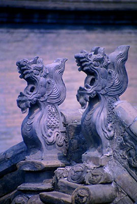 qiao2.jpg (13176 �ֽ�)