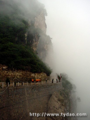 ms1.jpg (110407 �ֽ�)