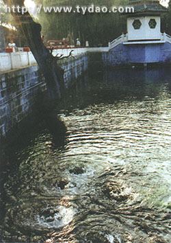 yaom.jpg (35475 �ֽ�)