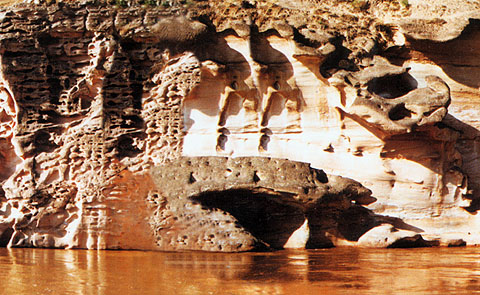 tulin.jpg (90791 �ֽ�)