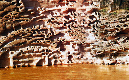 tulin.jpg (90791 �ֽ�)