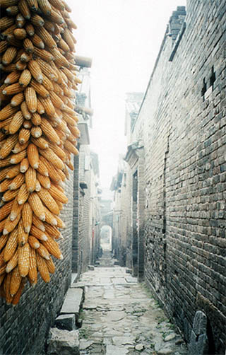 xixia.jpg (37008 �ֽ�)