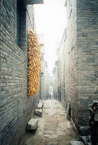 xixia.jpg (37008 �ֽ�)