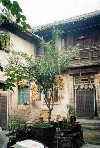 xixia.jpg (37008 �ֽ�)