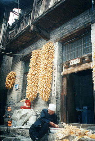 shunwp.jpg (39627 �ֽ�)