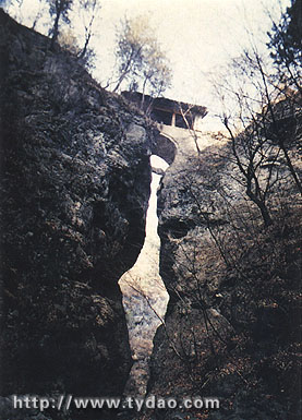 xixia.jpg (37008 �ֽ�)