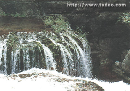 xixia.jpg (37008 �ֽ�)