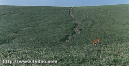 shunwp.jpg (39627 �ֽ�)