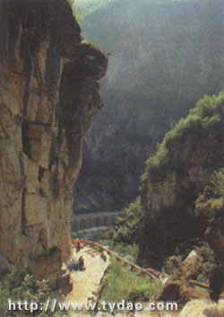 xixia.jpg (37008 �ֽ�)