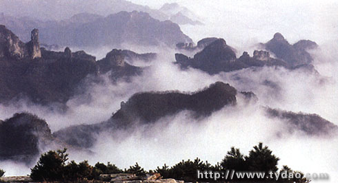 dj.jpg (37008 �ֽ�)