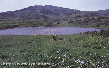 yunmeng.jpg (85998 �ֽ�)