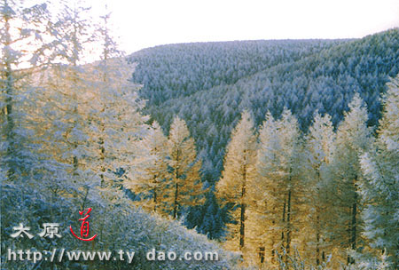 nw-luya3.jpg (38550 �ֽ�)