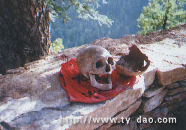 �����Ļ����Ź�