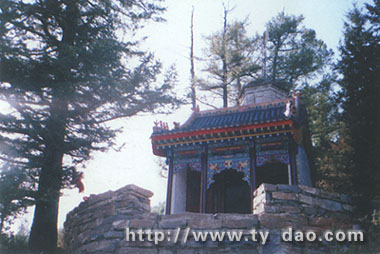 �����������汦��