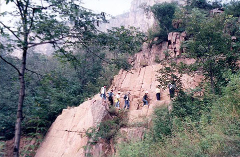 m0313-1.jpg (81604 �ֽ�)