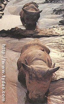 xld1.jpg (50991 �ֽ�)