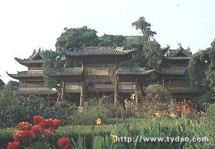 xld1.jpg (50991 �ֽ�)