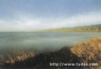 xld1.jpg (50991 �ֽ�)