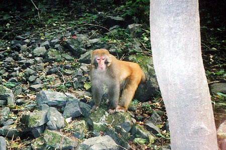 h1.jpg (58548 �ֽ�)