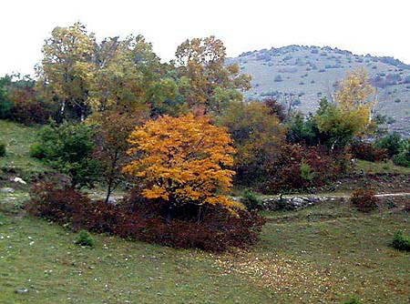 h1.jpg (58548 �ֽ�)