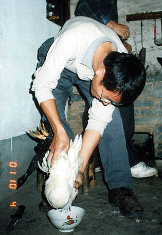 h1.jpg (58548 �ֽ�)