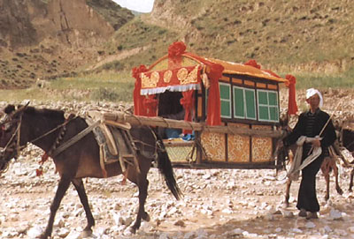 luojiao.jpg (51740 �ֽ�)