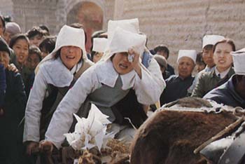 ku.jpg (24133 �ֽ�)