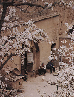 tuyao.jpg (45911 �ֽ�)