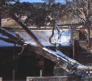 ��������֮�ܰ�