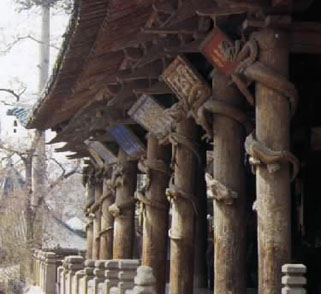 ʥĸ�������