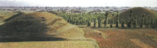 hanmu.jpg (21113 �ֽ�)