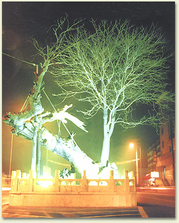 hs-1.jpg (74207 �ֽ�)