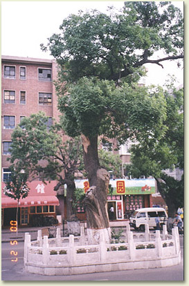 hu01.jpg (66478 �ֽ�)