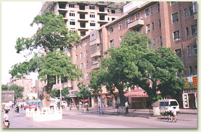 hu03.jpg (63397 �ֽ�)