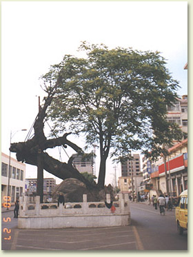 qiang01.jpg (48891 �ֽ�)