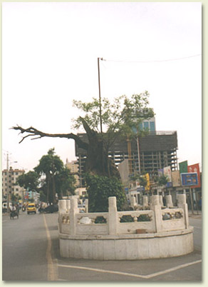qiang04.jpg (36233 �ֽ�)