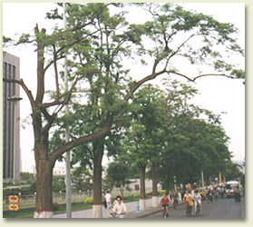 yz01.jpg (42613 �ֽ�)