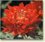 jh2.jpg (22829 �ֽ�)