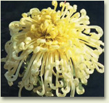 jh6.jpg (27035 �ֽ�)